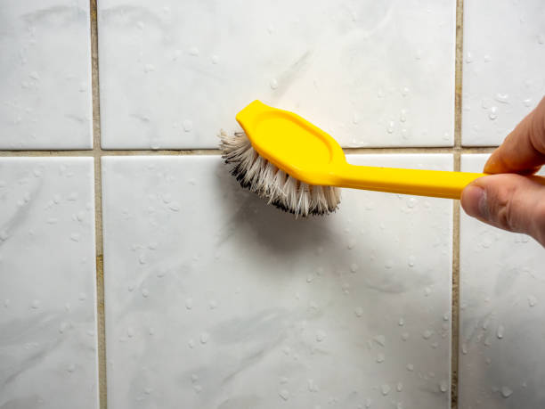 Best Mold Removal Near Me  in Clintonville, WI