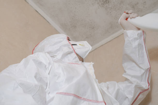 Best Mold Cleaning Services  in Clintonville, WI